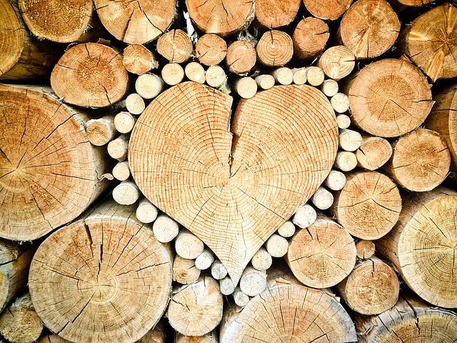 Fibre de  bois